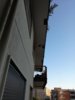 IMG_20170613_190458.jpg