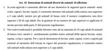 esempio.JPG