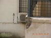 balcone int.3.JPG