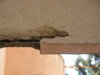 balcone int. 5.JPG
