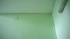C__Data_Users_DefApps_AppData_INTERNETEXPLORER_Temp_Saved Images_WP_20160208_003.jpg