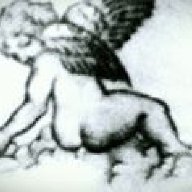enrica